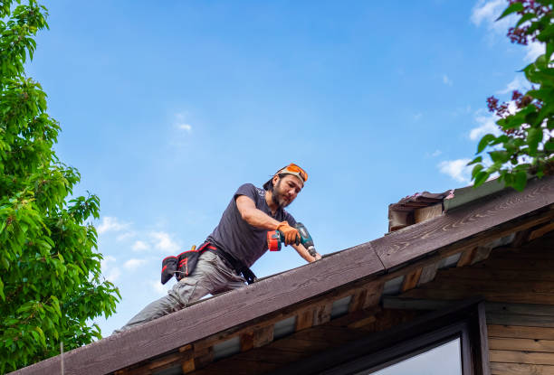 Best Rubber Roofing (EPDM, TPO)  in Sibley, IA