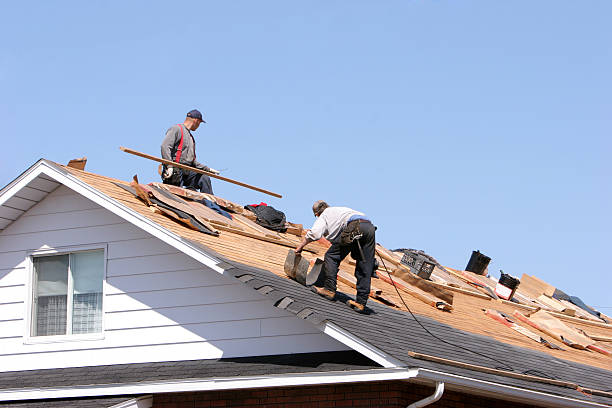 Best Skylight Installation and Repair  in Sibley, IA